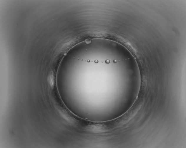 X0000113200069200909171522