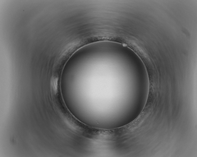 X0000113200070200909171522