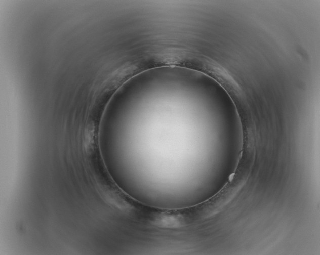 X0000113200073200909171522