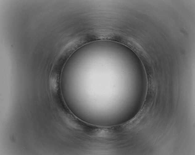 X0000113200074200909171522