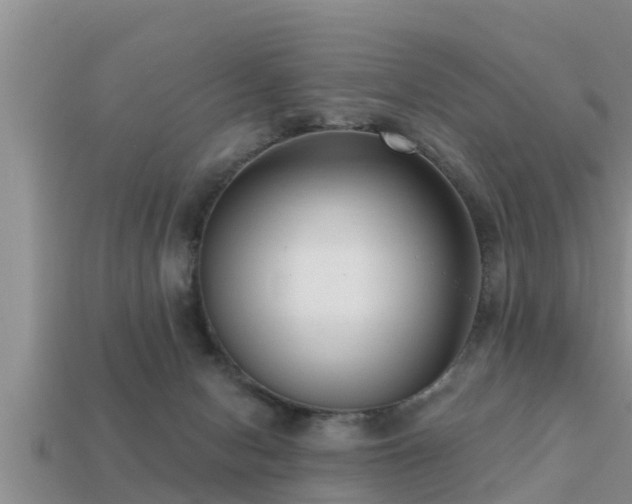 X0000113200078200909171522