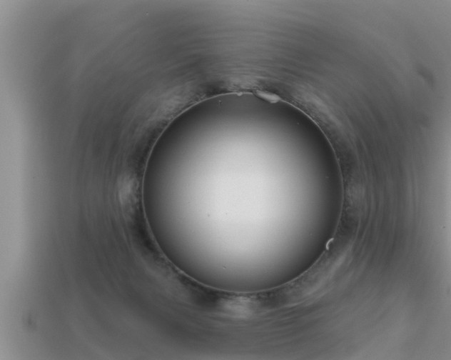 X0000113200079200909171522