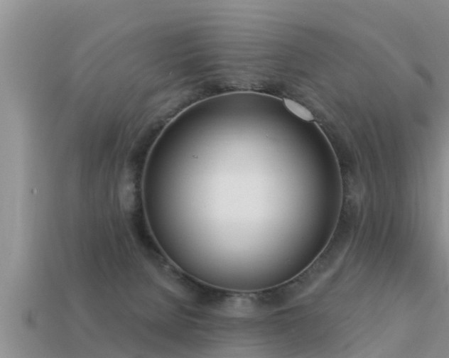 X0000113200080200909171522