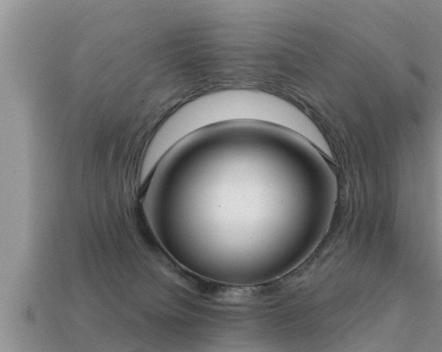 X0000113200084200909171522