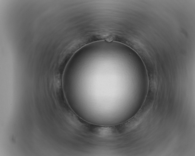 X0000113200085200909171522