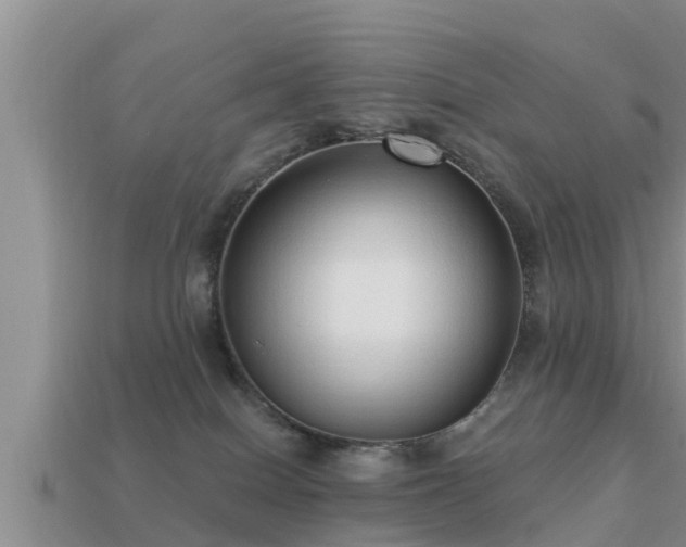 X0000113200086200909171522