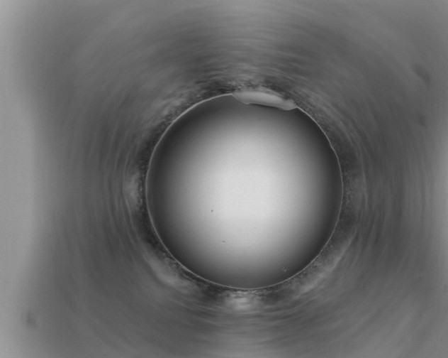 X0000113200088200909171522