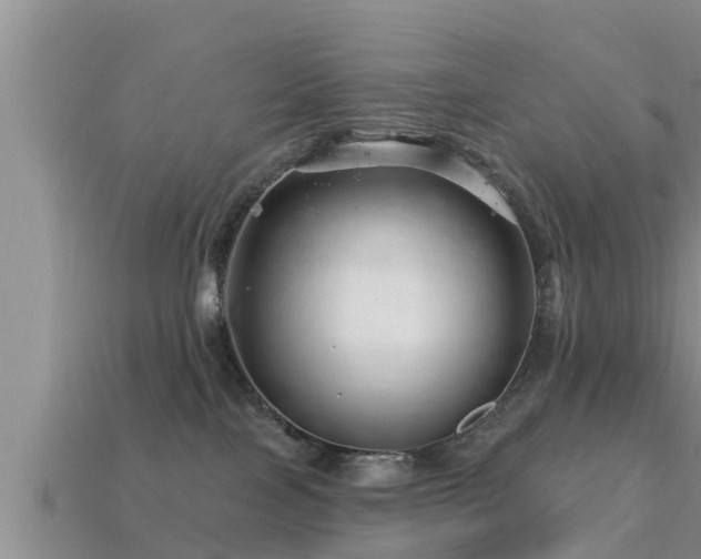 X0000113200089200909171522