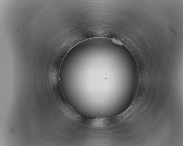 X0000113200090200909171522