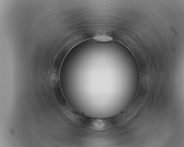 X0000113200091200909171522