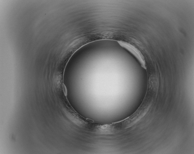 X0000113200092200909171522