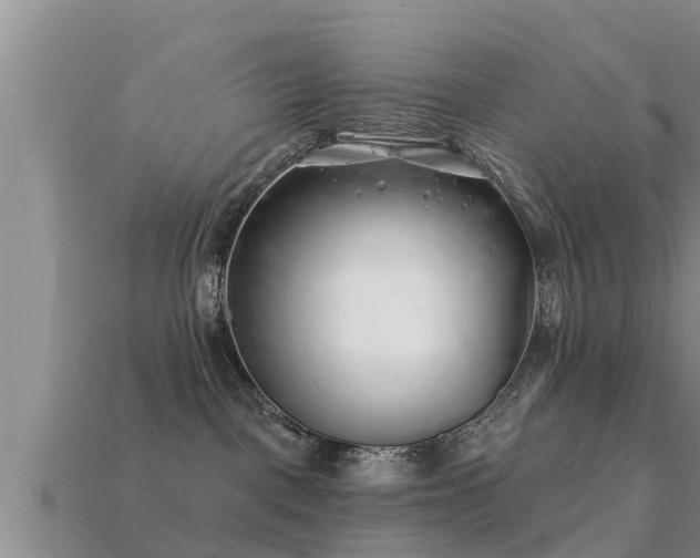 X0000113200093200909171522