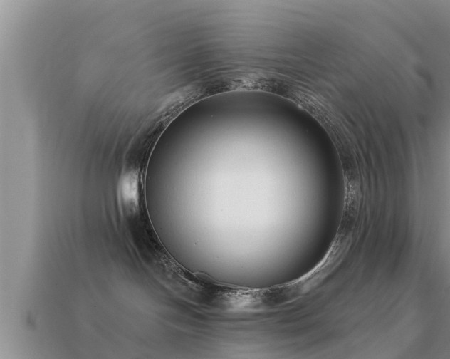 X0000113200094200909171522