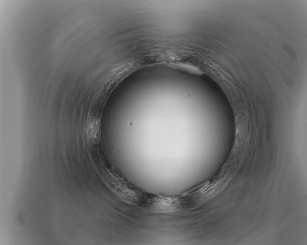 X0000113200096200909171522