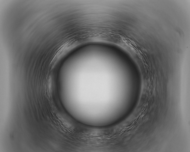 X0000113200098200909171522