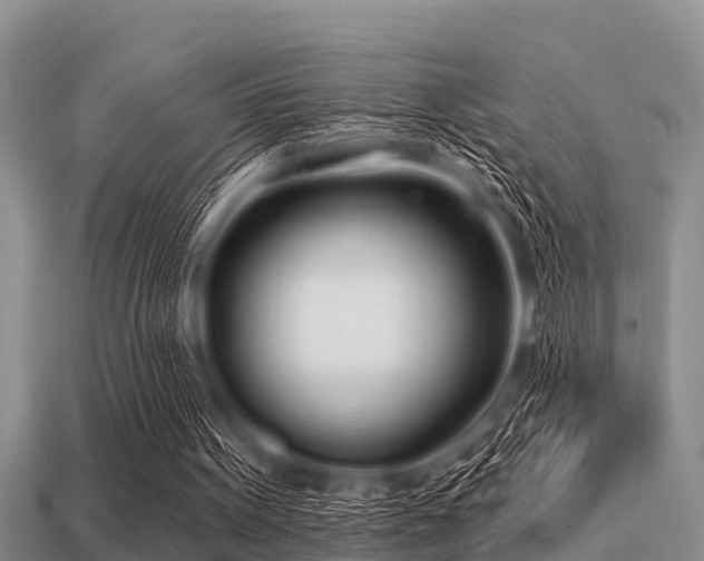 X0000113200099200909171522