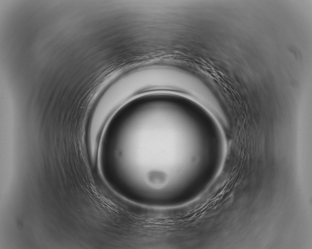 X0000113200100200909171522