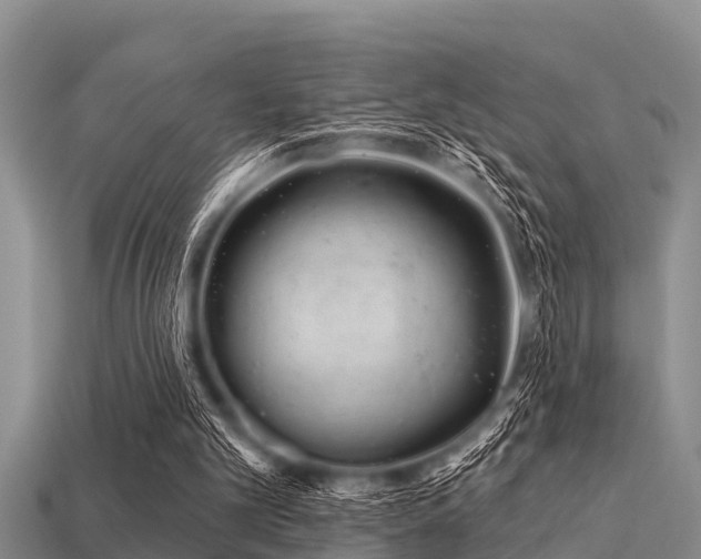 X0000113200101200909171522