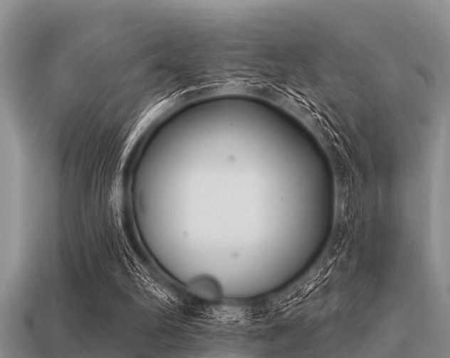 X0000113200102200909171522