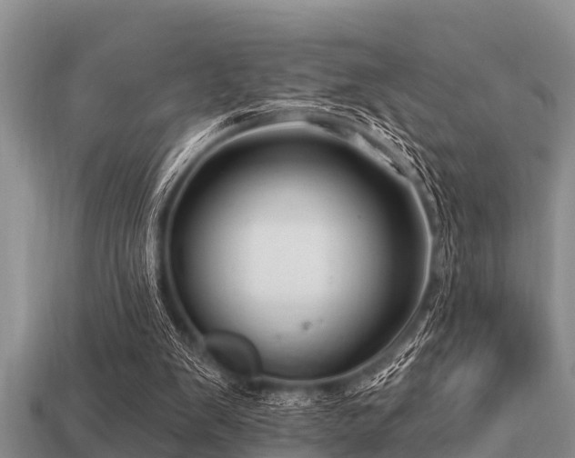 X0000113200103200909171522