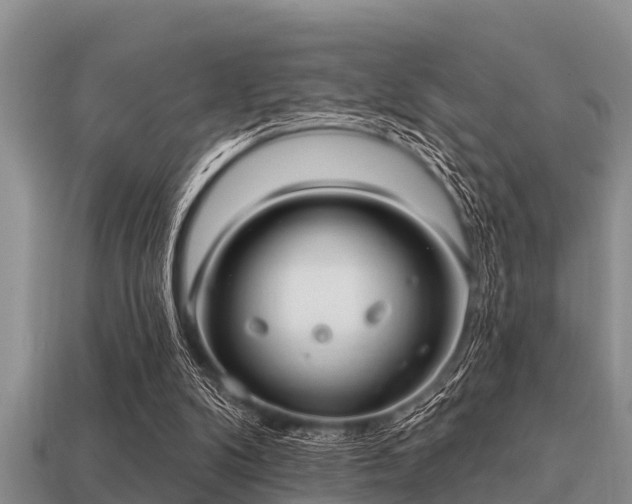 X0000113200104200909171522