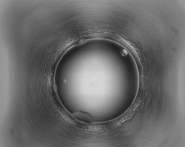 X0000113200105200909171522