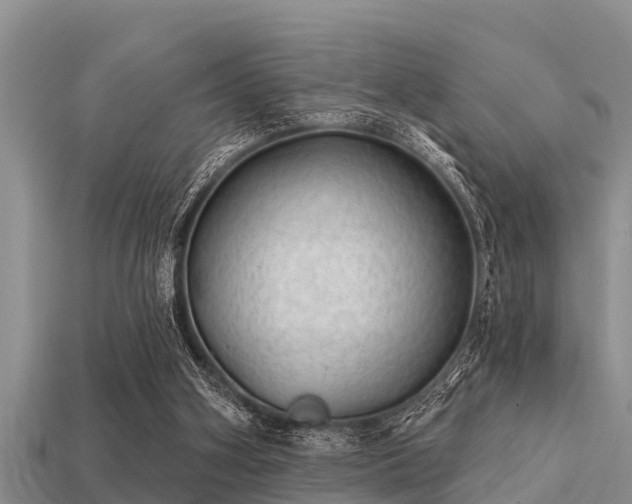 X0000113200106200909171522