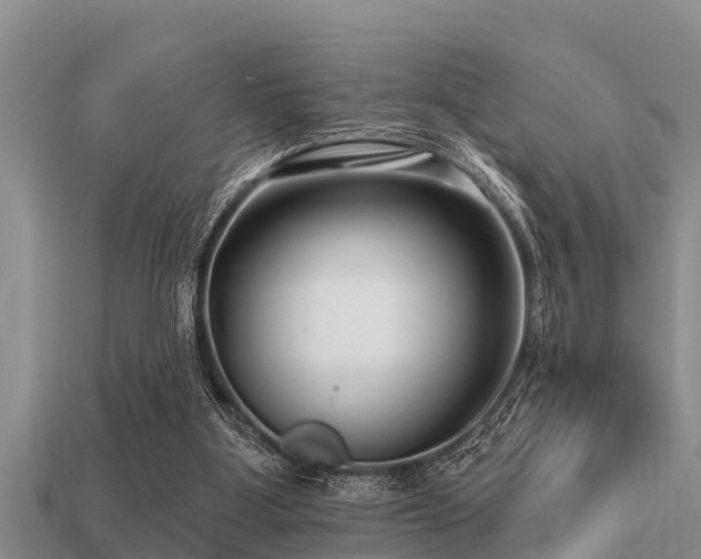 X0000113200107200909171522