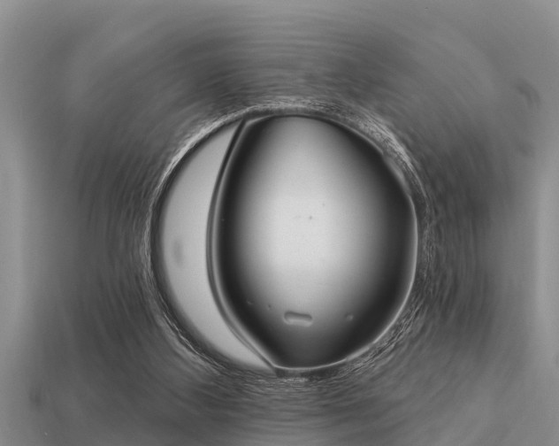 X0000113200108200909171522