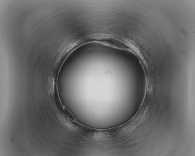 X0000113200109200909171522