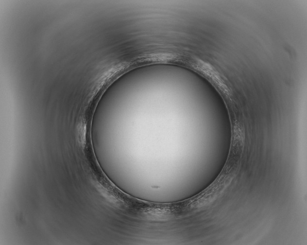 X0000113200110200909171522