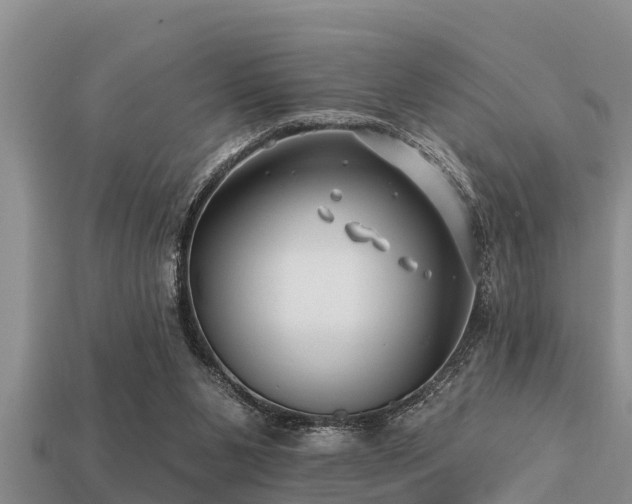 X0000113200111200909171521