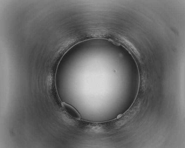 X0000113200113200909171521