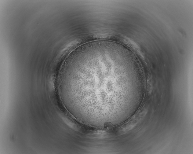 X0000113200114200909171521