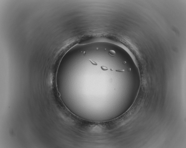 X0000113200115200909171521