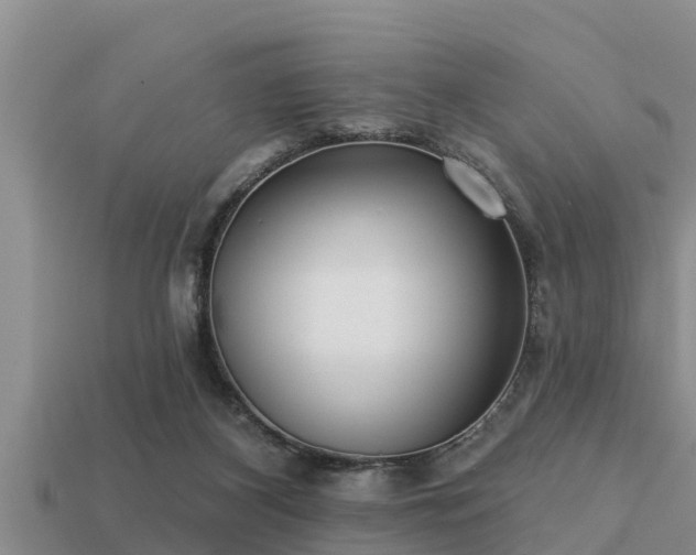 X0000113200116200909171521