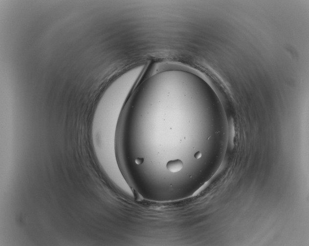 X0000113200117200909171521