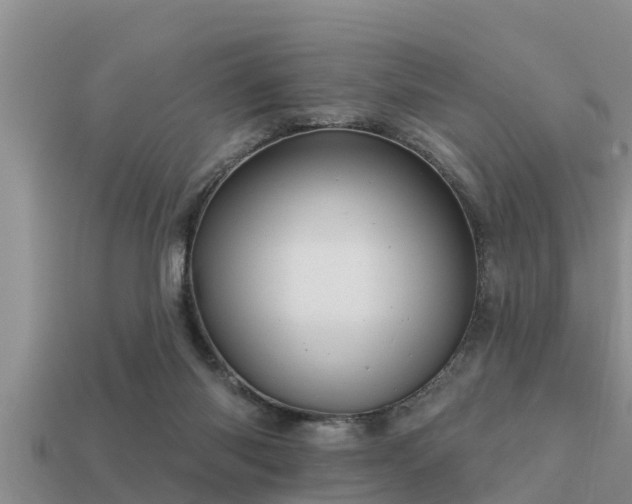 X0000113200118200909171521