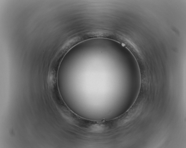 X0000113200119200909171521