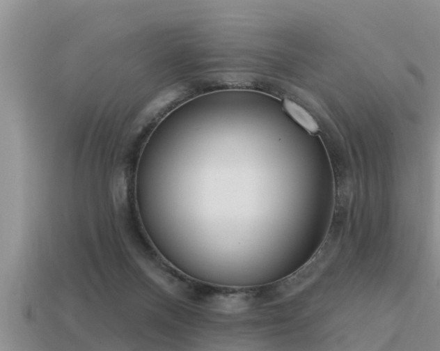 X0000113200120200909171521