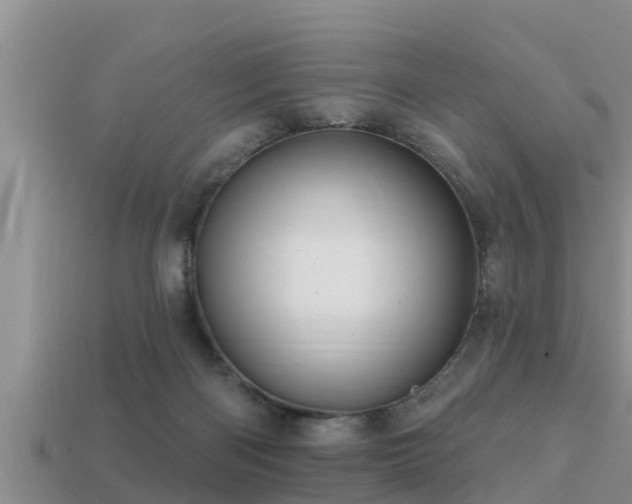 X0000113200122200909171521