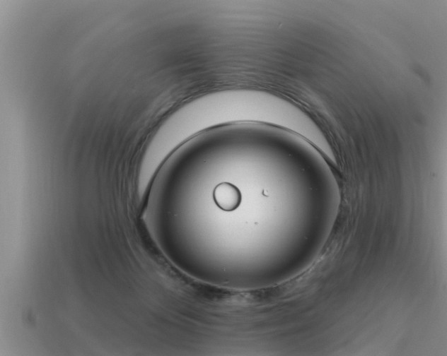 X0000113200124200909171521