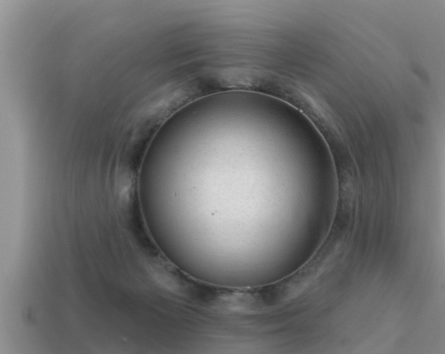 X0000113200125200909171521