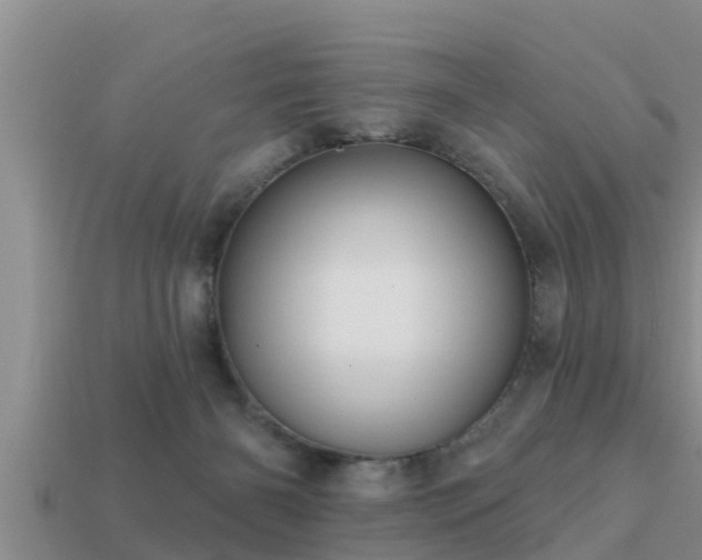 X0000113200126200909171521