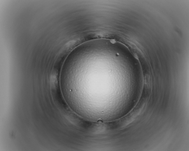 X0000113200127200909171521