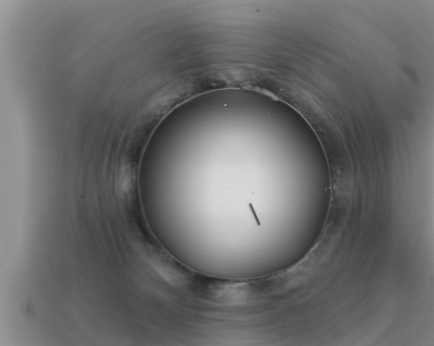 X0000113200132200909171521