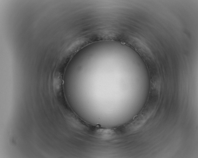 X0000113200133200909171521