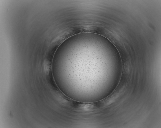 X0000113200135200909171521