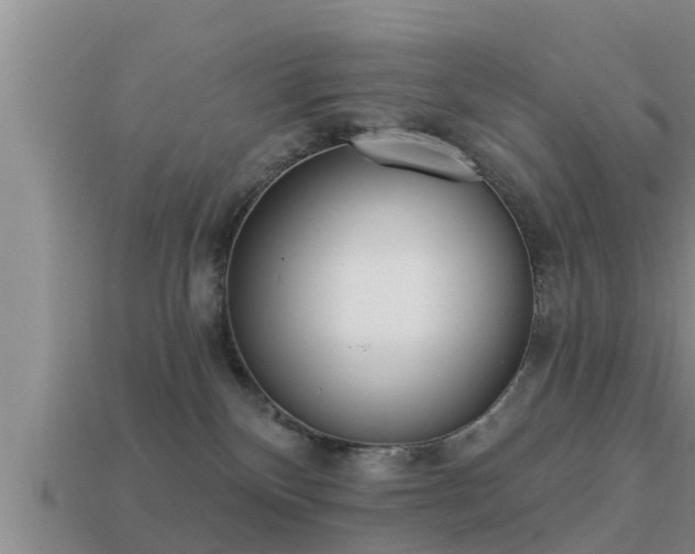 X0000113200136200909171521