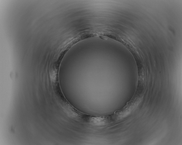 X0000113200139200909171521